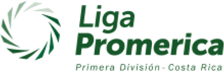 Primera División logo