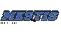 Mestis logo