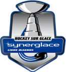 D1 logo