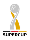 VBL Supercup logo
