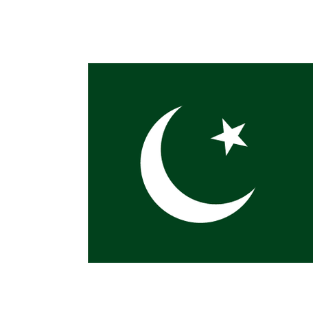 Pakistan Women logo