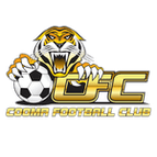 Cooma Tigers FC logo