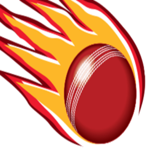 Queensland Women logo