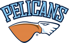 Pelicans Lahti U20 logo