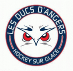 Angers logo