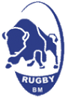 Frankfurt Lowen logo