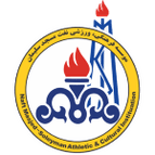 Naft Masjed Soleyman logo