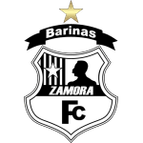Zamora logo
