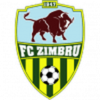 Zimbru logo
