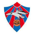 Valur logo