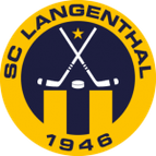 BSC Young Boys logo