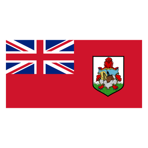 Bermuda logo