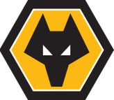 Wolves U21 logo