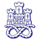Newcastle Town logo