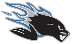 QPR logo
