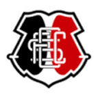 Vienna Capitals logo