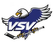 Villach logo