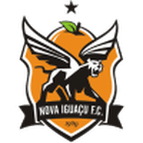 Nova Iguaçu logo