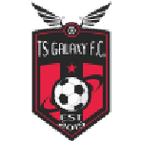 TS Galaxy logo