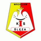 Sleza Wroclaw Women logo