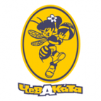Vologda Women logo