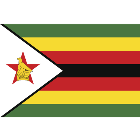 Zimbabwe Women logo