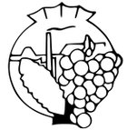 Tikvesh HC logo
