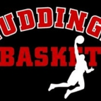 Huddinge Women logo