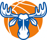 Ostersund Women logo