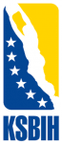 Jedinstvo Dzenex Women logo