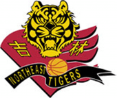Jilin Northeast Tigers logo
