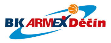 Decin logo