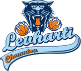 Chomutov Women logo
