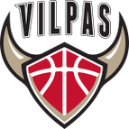 Salon Vilpas Vikings logo