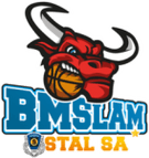Ostrow Wielkopolski logo