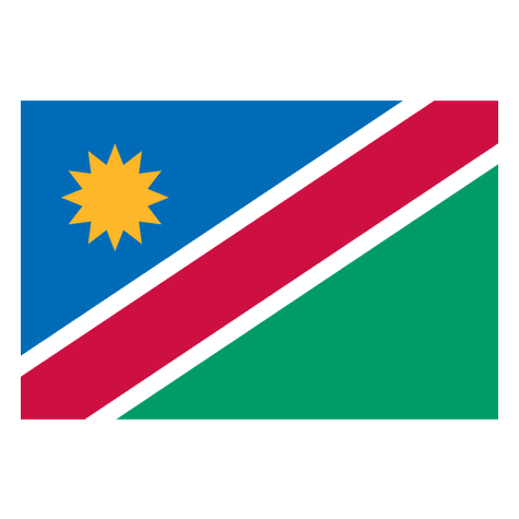 Namibia logo