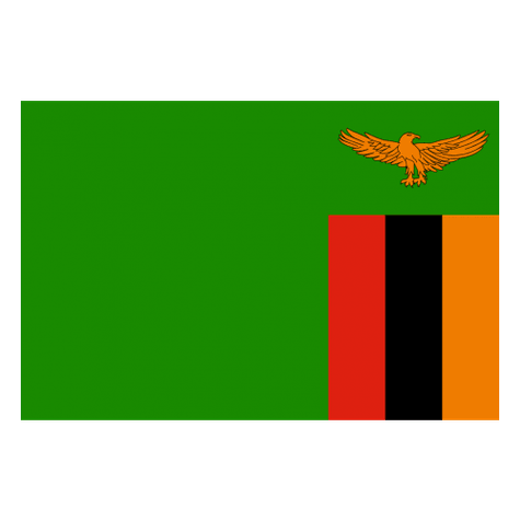 Zambia logo