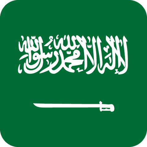 Saudi Arabia logo