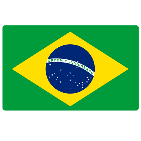 Brazil Women logo