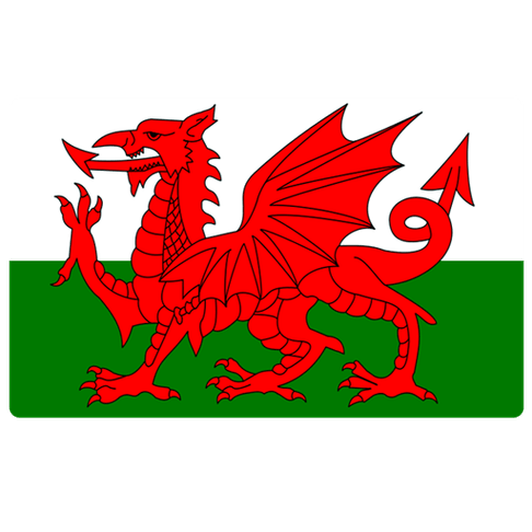 Wales Women logo
