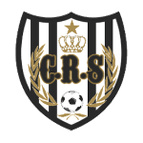 Riadi Salmi logo