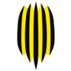 Rukh Vynnyky logo