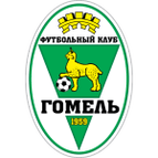 FC Gomel logo