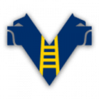 Verona logo