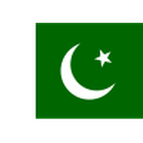 Pakistan logo