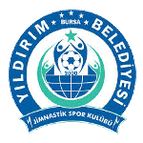 Bursa Yıldırımspor logo