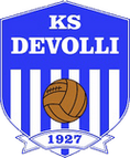 Devolli logo