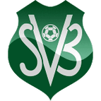 Suriname logo