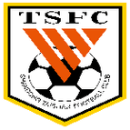 Shandong Taishan logo