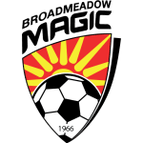 Broadmeadow Magic logo
